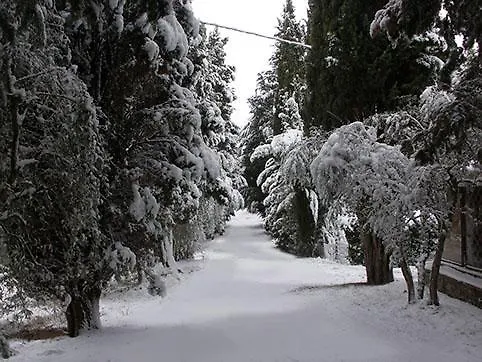Farma Poggio Alla Fame Colle Val D'Elsa